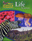 Cover of Holt Science and Technology
