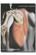 Cover of Anatomia umana
