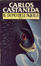 Cover of Il dono dell'aquila