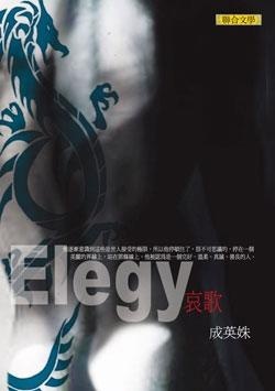 哀歌的圖像