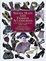 Cover of "Shoes, Hats and Fashion Accessories"