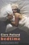 Cover of "Bedtime"