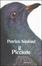 Cover of Il piccione