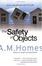 Cover of Safety of Objects