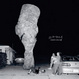 Cover of Wrong
