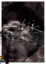 Image of 海浪