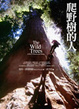 Cover of 爬野樹的人