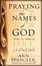 Cover of "Praying the Names of God"
