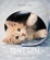 Cover of "Smitten"