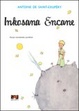 Cover of Inkosana Encane