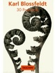 Cover of Blossfeldt Postcard Book