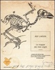 Cover of Le mappe dei miei sogni