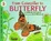 Cover of "From Caterpillar to Butterfly"