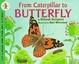 Cover of From Caterpillar to Butterfly