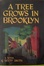 Cover of "A Tree Grows in Brooklyn"
