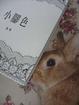 Cover of 小腳色