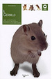 Cover of Il gerbillo