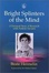 Cover of "Bright Splinters of the Mind"