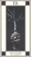 Cover of Tavola analitica del cornificio