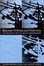 Cover of "Between Witness and Testimony"