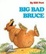 Cover of "Big Bad Bruce"