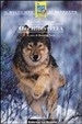 Cover of Occhidistella