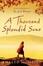 Cover of "A Thousand Splendid Suns"