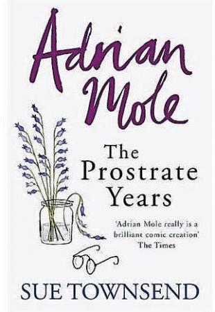 More about Adrian Mole - The Prostrate Years
