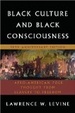 Cover of Black Culture and Black Consciousness