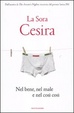 Cover of Nel bene, nel male e nel così così