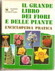 Cover of Il grande libro dei fiori e delle piante