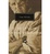 Cover of The Border Trilogy