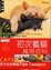 Cover of "初次養貓萬用百科"
