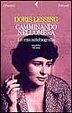 Cover of Camminando nell'ombra