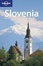 Cover of Lonely Planet Slovenia
