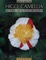 Cover of HIGO CAMELIA - Un fiore per il terzo millennio
