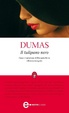 Cover of Il tulipano nero