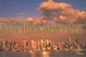Cover of New York New York