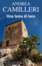 Cover of Una lama di luce