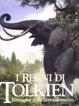 Cover of I regni di Tolkien
