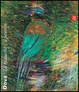Cover of Gianni Dova