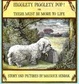 Cover of Higglety Pigglety Pop! Or, There Must Be More to Life