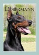 Cover of Il dobermann