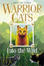 Cover of Into the Wild