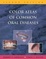 Cover of Color Atlas of Common Oral Diseases