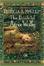 Cover of The Book of Atrix Wolfe