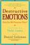 Cover of "Destructive Emotions"