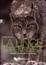 Cover of La lince appenninica. Svelato il mistero del «Gattopardo»?
