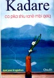 Cover of Ca pika shiu ranë mbi qelq