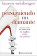Cover of PERSIGUIENDO UN DIAMANTE